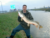 Hecht 3 Nicky