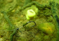 Korda Wide Gape B