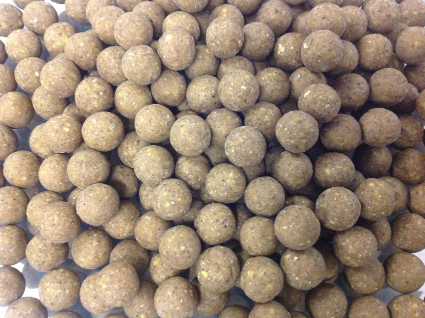 Toms Angelwelt Boilies von Nutrabaits, Mistral, Nash